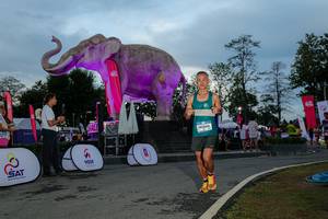 BIB: 
                            <button type="button" onclick="openModal(26529499)" class="btn btn-primary btn-sm float-right btn-popup" data-toggle="modal" data-target=".modal-high-quality">
                        <i class="fas fa-shopping-cart"></i> Add to Cart
                    </button>
                                            <button type="button" onclick="isThisMe(26529499, true)" class="btn btn-success btn-sm float-right btn-popup btn-isme hidden" data-toggle="tooltip" data-placement="bottom" title="นี่คือรูปของคุณใช่ไหม คลิกที่นี่เพื่อเอาเข้าอัลบั้ม">
                        <i class="fas fa-plus"></i> Add to album
                    </button>
                    <button type="button" onclick="isThisMe(26529499, false)" class="btn btn-warning btn-sm float-right btn-popup btn-isnotme hidden">
                        <i class="fas fa-ban"></i> Remove from album
                    </button>